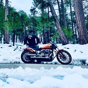 Meet your Posher, Rey